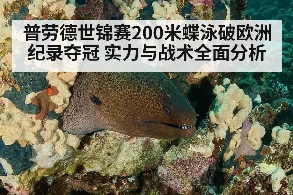 普劳德世锦赛200米蝶泳破欧洲纪录夺冠 实力与战术全面分析