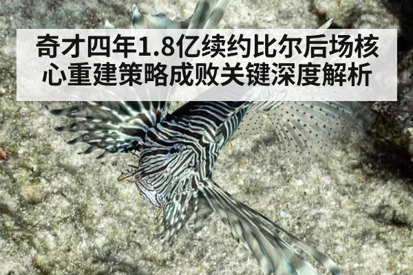 奇才四年1.8亿续约比尔后场核心重建策略成败关键深度解析