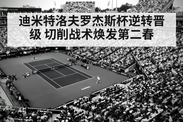 迪米特洛夫罗杰斯杯逆转晋级 切削战术焕发第二春